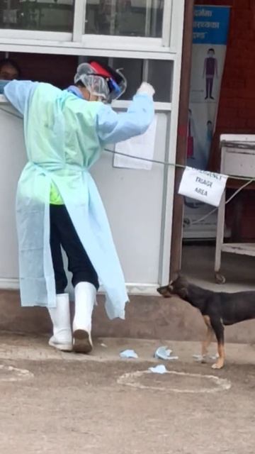 Такой концовки я и сам не ожидал (197) смотреть онлайн