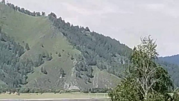 Алтай лето 2025