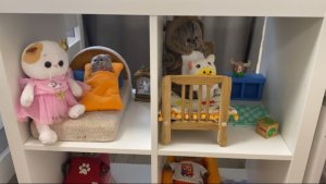 Делаем ДОМ для БАСИКОВ / Семейка Басиков и Мисс Фаина