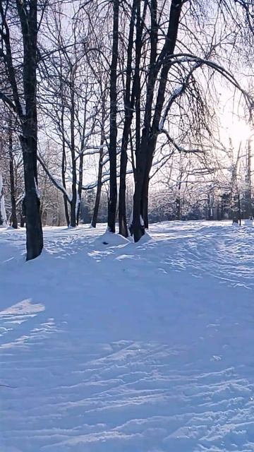 Зима и солнце, день чудесный смотреть онлайн