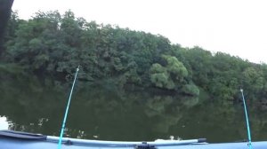 Рыбалка с лодки на червя .Донки. (4)