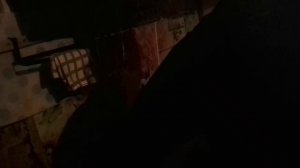 Вечерний заказ из 5