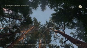 Мир игры: детали — Деревья