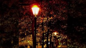 Вопреки © Copyright: Бронислав Сычёв, 2026
Свидетельство о публикации №126021303310