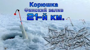 Корюшка / Финский Залив / Отличное место!