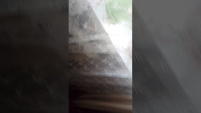 numberblocks намберблокс 50+6=56 3 часть