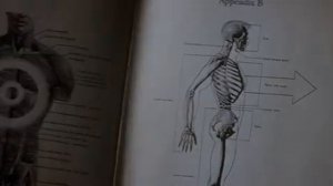 Официальный трейлер "Донни Дарко / Donnie Darko (Director's Cut) (2001)"