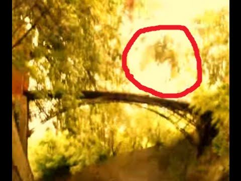 Полтергейст !