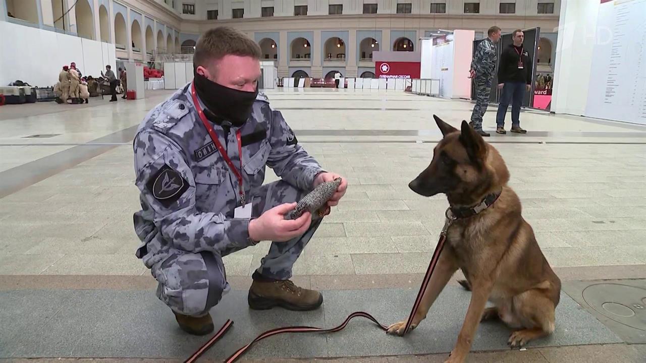 В Москве прошли соревнования служебных собак МВД, Росгвардии, таможни и ФСИН. смотреть онлайн