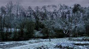 И всё это в один майский день...