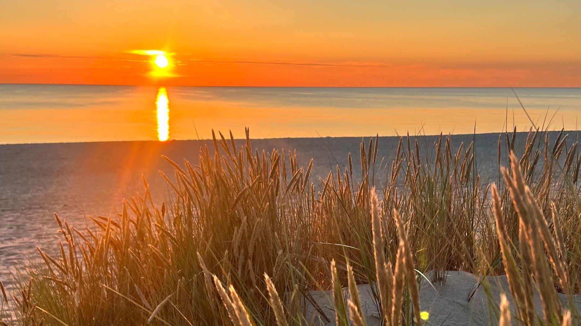 Black Monochrome - Minimal Techno Music смотреть онлайн