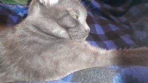 Доброй ночи и приятного сна.