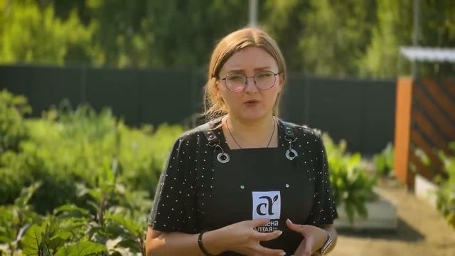 ВСЕ О ВЫРАЩИВАНИИ БАКЛАЖАНОВ! Что делать с баклажанами в августе смотреть онлайн