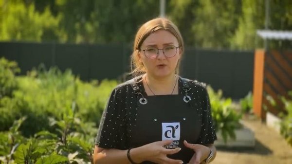 ВСЕ О ВЫРАЩИВАНИИ БАКЛАЖАНОВ! Что делать с баклажанами в августе