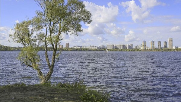 О рыбаках. Русфишинг. 13.02.2026.