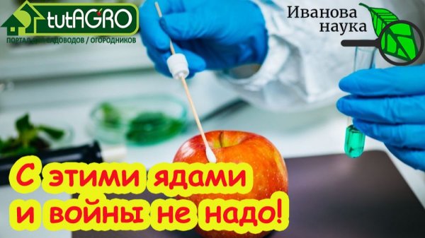 САМЫЕ ОПАСНЫЕ ЯДЫ на Wildberries и Ozon. Легальные и нелегальные убийцы. Нашел самые страшные.