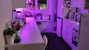 Уборка #506 отчёт за первые дни в порядке)