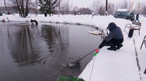 Ловля форели на 1-м Вип РК "Фишка Петряиха"