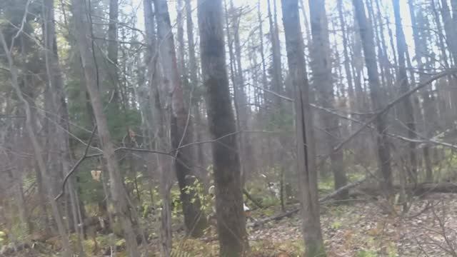 05.10.2025г. Черный день в календаре. смотреть онлайн