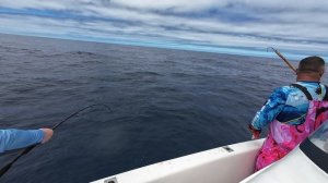 Тунцовый РАЙ, силы на исходе! Африканские приключения часть 1