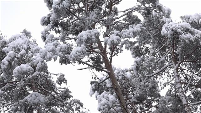Тайны Судьбы - 14 Февраля. Что ждать каждому знаку зодиака.