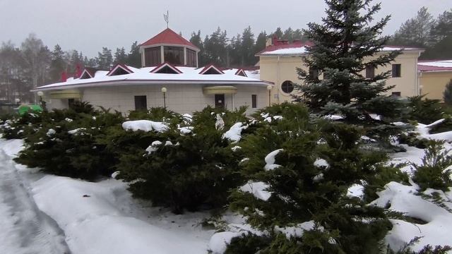 Вечерняя прогулка 12.02.26. смотреть онлайн