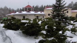 Вечерняя прогулка 12.02.26.