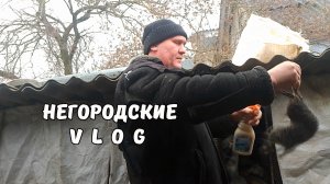 НУТРЯТА лысеют. Как и чем обрабатываю зверьков? 08.02.26