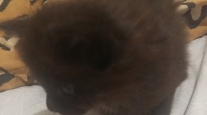 просто видео