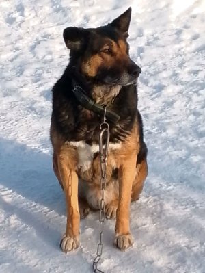 Давайте знакомиться 💞