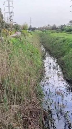 Бог соединяет несоединимое. Яна Титова NSM