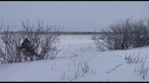 снегоход и квадроцикл AODES