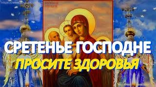 На Сретенье Господне просите здоровья и счастья себе и близким. У молитвы чудесная сила смотреть онлайн