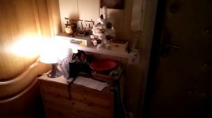 Обзор коридора - 2 свалки, комод и шкаф)