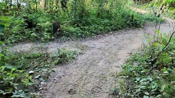 По следам Эндуро