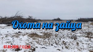 Охота на зайца.
