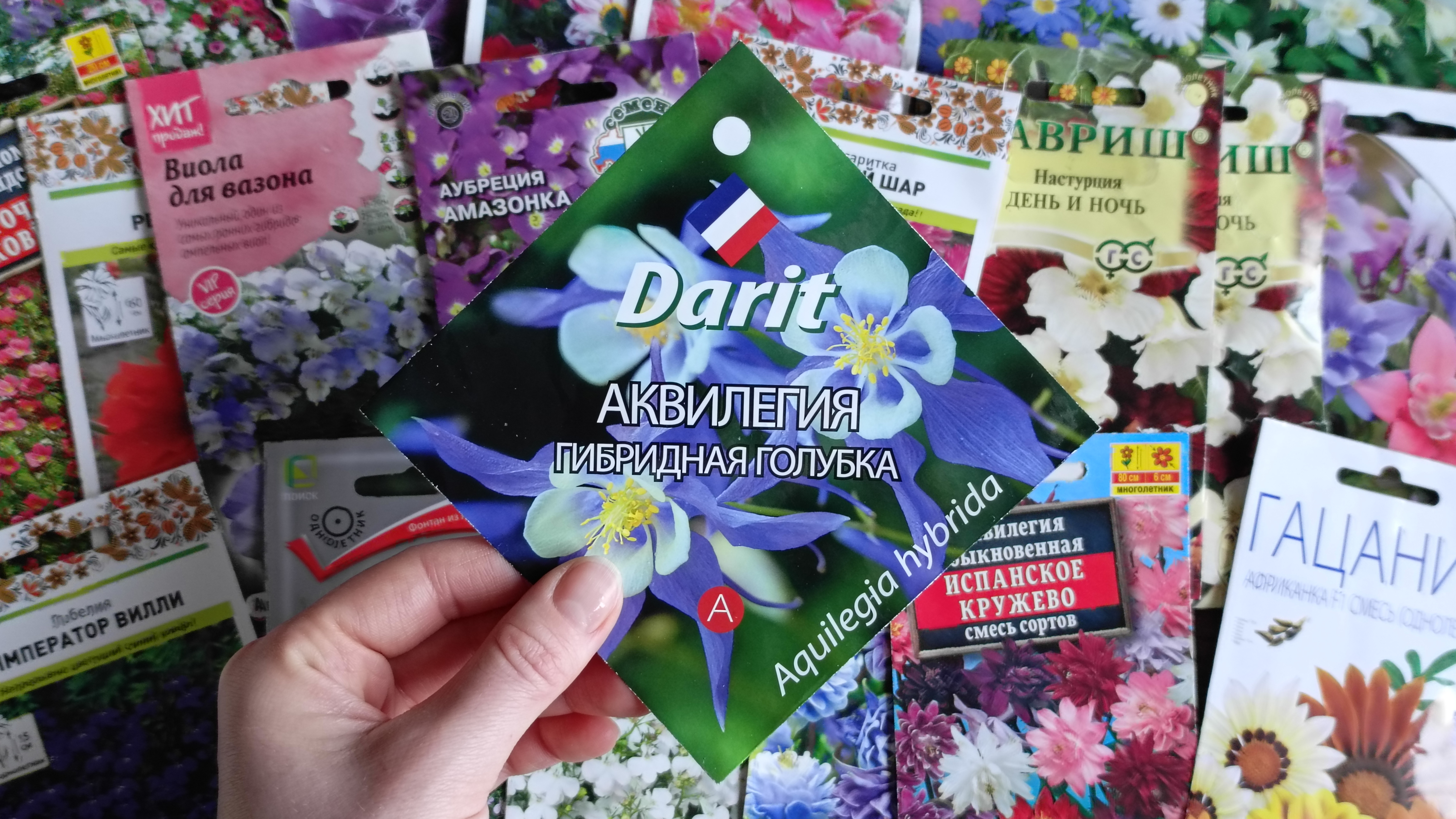 Семена цветов для моего сада : новые и уже проверенные смотреть онлайн