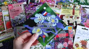 Семена цветов для моего сада : новые и уже проверенные