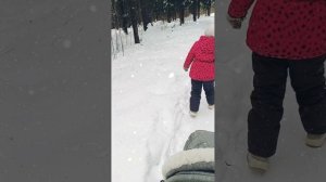 В ПОИСКАХ БЕЛОК