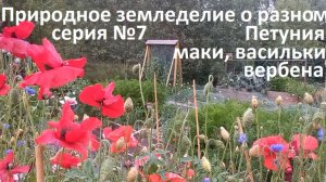 Природное земледелие о разном №7.