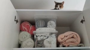 Уборка #352 отчёт за прошлую неделю)