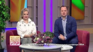 Здравствуйте ТНВ 12.02.2026