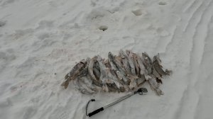 Пятница 13 февраля 2026 г.Рыбалка.