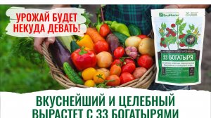Повышаем урожайность легко! С биопрепаратом 33 Богатыря
