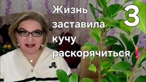 3 часть. Жизнь ЗАСТАВИЛА кучу раскорячиться❗️
