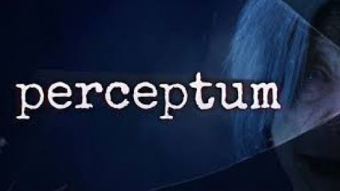 Perceptum. Медиум расследует исчезновение семьи. Коротенький плейтест. смотреть онлайн