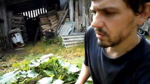 ВЫРАЩИВАНИЕ КАБАЧКОВ ХИТРЫМ СПОСОБОМ