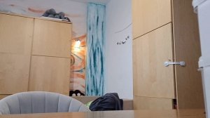 Показываю всё то что есть из очень странных дел, убираю полку🤭