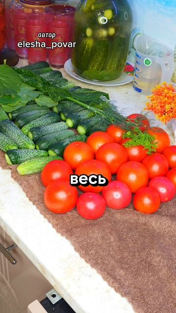 Сохраняем огурцы и помидоры на зиму. Салат летний и ассорти огурцы и помидоры смотреть онлайн