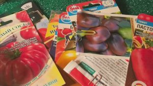 13 февраля сею томатики 🍅